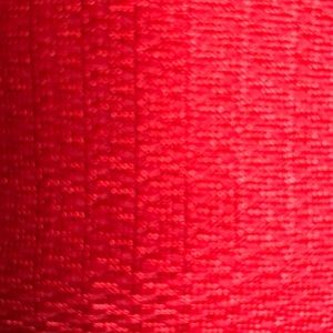 Meet your Posher, Brylon